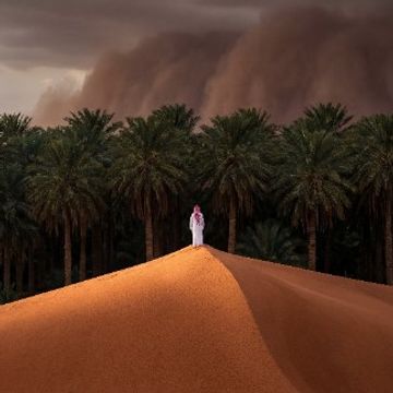 Desert Falcon by Califoreigner