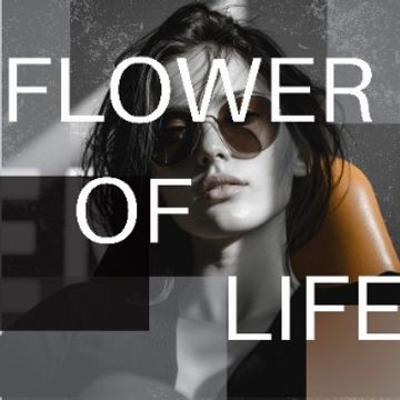 FLOWER OF LIFE by VERSIL