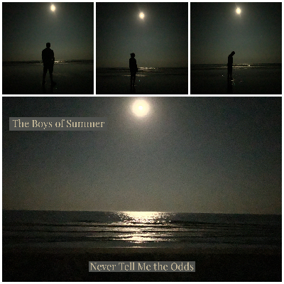The Boys of Summer (Cover) by Never Tell Me the Odds