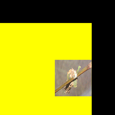 odp023hiroshimabendcocoons01tromf.wav by Original Mix