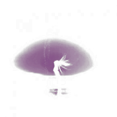 Soft and Furious - Morph.wav by Dominique Rusch