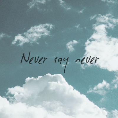 Never Say Never by Jade Emperor
